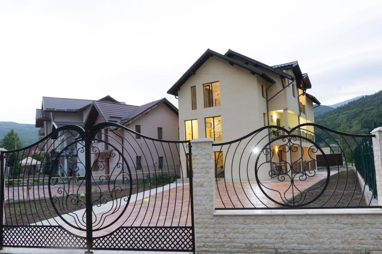 Vila Poienita Caciulata Calimanesti Exterior photo